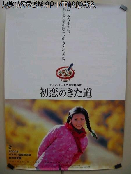静岡県立大学公共管理文凭证书